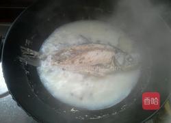鲫鱼汤的做法图解4