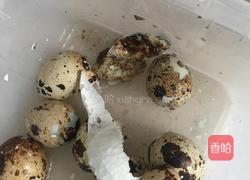 生活小窍门:巧扒鹌鹑蛋的做法图解5