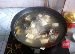 快煮鲫鱼豆腐汤的做法图解8
