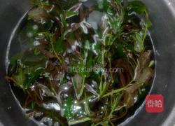 香椿苗煎鸡蛋的做法图解1