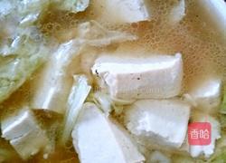 狗肉汤炖豆腐的做法图解6