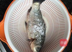 糖醋鲫鱼的做法图解4