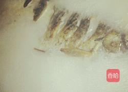 鲫鱼汤的做法图解5