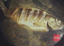 鲫鱼汤的做法图解4