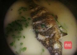 鲫鱼汤的做法图解6