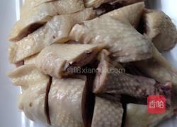 口水鸡的做法图解8