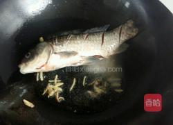 红烧鲫鱼的做法图解4
