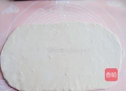 肉龙（肉蟒）的做法图解4