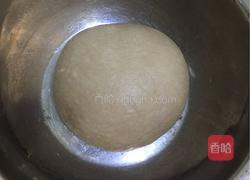 巧克力炼乳吐司（中种）的做法图解5
