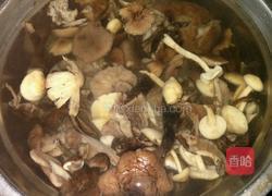 东北蘑菇炖鸡爪子的做法图解1