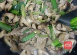 蘑菇炒肉的做法图解9