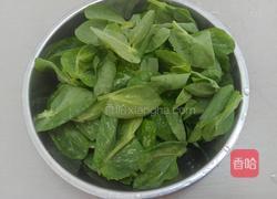豆苗煮方便面的做法图解2
