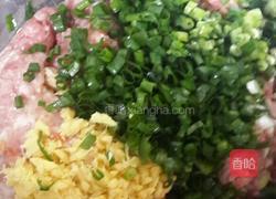 香炸肉丸的做法图解1