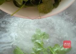 豌豆尖粉丝汤的做法图解7