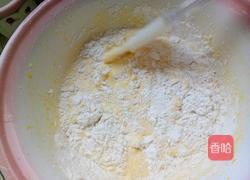 鸡蛋布丁蛋糕的做法图解13