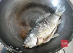 红烧鲫鱼萝卜的做法图解2
