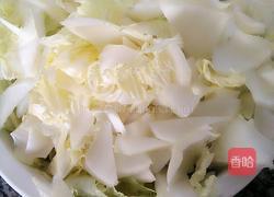 ‘酸辣白菜的做法图解1