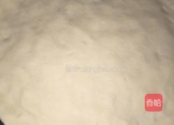 鸡肉培根披萨的做法图解5