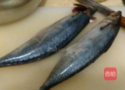 鲅鱼馅饺子的做法图解1