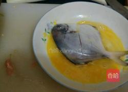 红烧鲳鱼的做法图解2