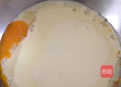 小鸡烧果子的做法图解1