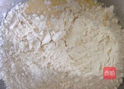 小鸡烧果子的做法图解2