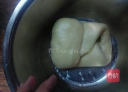 葡萄司康（发酵版）的做法图解13