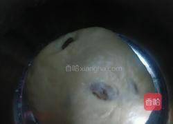 葡萄司康（发酵版）的做法图解16