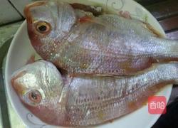 鱼的做法图解1