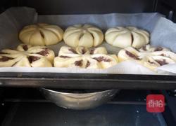 豆沙面包的做法图解14