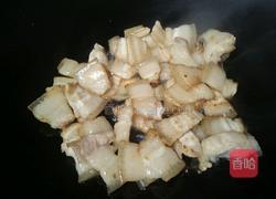 包菜炒肉的做法图解4
