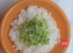 潮汕特色（果肉）的做法图解3