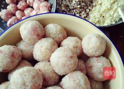 粢毛肉圆子的做法图解1