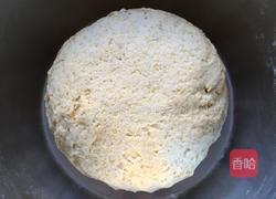 三合面豆沙包的做法图解1