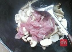 双菇干腐肉片的做法图解13