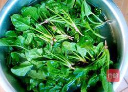 清炒菠菜的做法图解1
