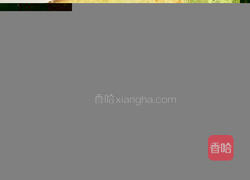 法式煎吐司的做法图解4