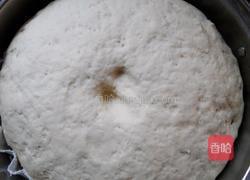 南瓜菊花馒头的做法图解7