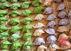 白菜鸡蛋饺子的做法图解7