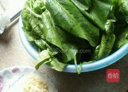 炒菠菜的做法图解1