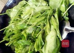 炒菠菜的做法图解2