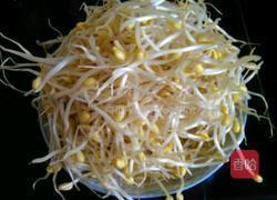 清炒豆芽的做法图解1