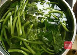 红螺炒南瓜苗的做法图解2