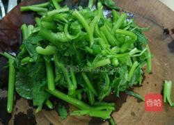 红螺炒南瓜苗的做法图解3