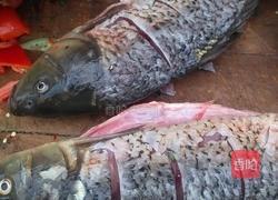糖醋鲤鱼的做法图解1
