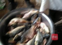 糖醋鲤鱼的做法图解2