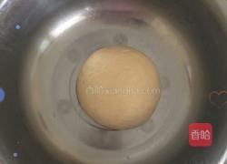 玫瑰花面包的做法图解4