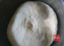 生煎包的做法图解3