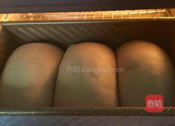 一次发酵的红糖吐司*波兰酵头的做法图解13