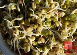 自己动手升绿豆芽的做法图解4